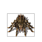 传奇暴牙蜘蛛属性